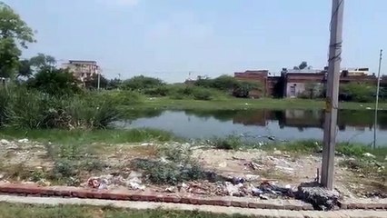 सरकारी जमीन पर भूमाफियाओं का कब्जा