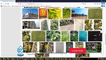 Shutterstock.com | Sell your Photos in Bulk | Catalog Manager | How To manage Shutterstock Catalog |