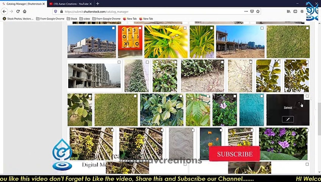 Shutterstock.com | Sell your Photos in Bulk | Catalog Manager | How To manage Shutterstock Catalog |