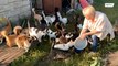 Жительница Орловской области содержит приют для животных-инвалидов
