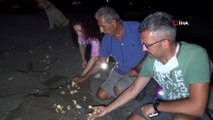 Yılın son caretta yavruları denizle buluştu
