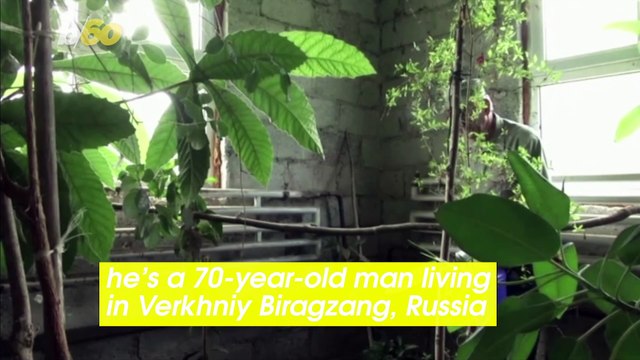 Man Builds His Dream Home from Natural Materials for Over 20 Years