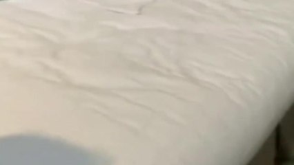 Caso Navalny: las pruebas del delito