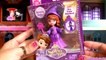 Sorcerer Sofia the First in the Magical Talking Castle Play Doh Wizard Halloween Costume