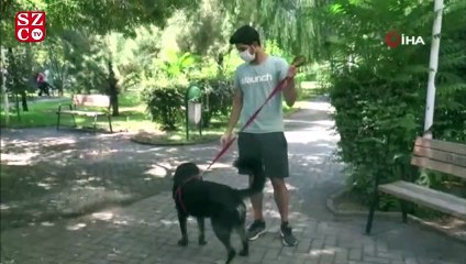 Corona sürecinde hayvanlarınızı sevdirirken dikkat