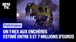 Estimé entre 5 et 7 millions d'euros, ce squelette de T-Rex mis aux enchères à New York pourrait battre le record en la matière