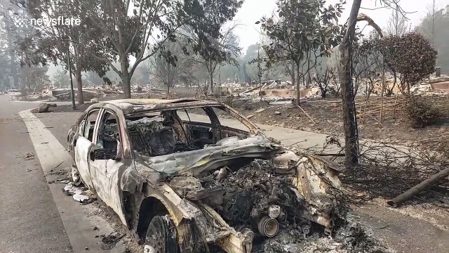 'Entire communities wiped out': Oregon resident documents destruction left behind by wildfires