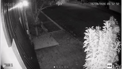 Portão abrindo e fechando durante a madrugada causa preocupação; moradora procurou a delegacia