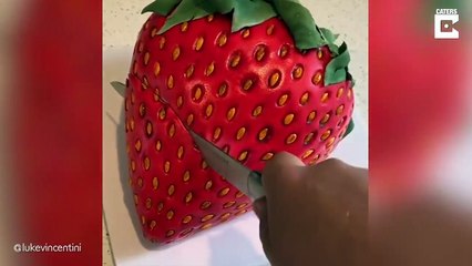 REAL LASTIC CAKES THAT LOOKS LIKE REAL DAILY LIFE OBJECTS