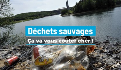 Déchets sauvages: ça va vous coûter cher !