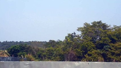 Boeing 777-300ER PT-MUI na final antes de pousar em Manaus vindo de Guarulhos(17/09/2020)