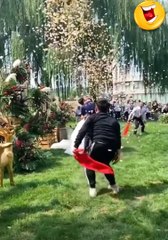 2020 년에 카메라로 촬영 한 멋진 순간들! 극한직업 웃긴 장면 모음! 재미있는순간 2020 !#12