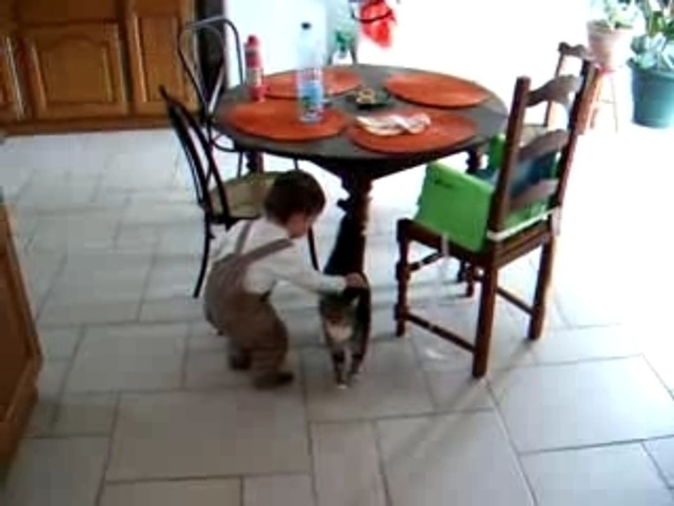 première rencontre avec un chat...