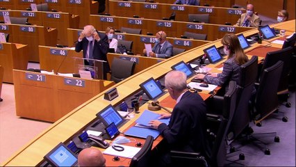 Download Video: El Parlamento Europeo se niega a reconocer a Lukashenko como presidente de Bielorrusia