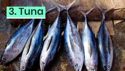 10 everyday items that are damaging the planet