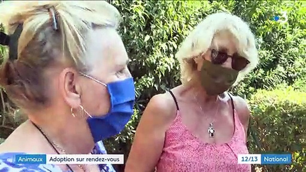 Animaux : la SPA lance le Mois de l'adoption pour les 8000 bêtes abandonnées cet été