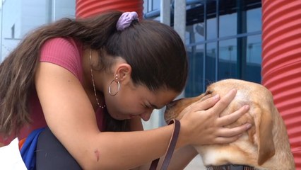 Blind Swimmer On Paralympic Quest With Guide Dog By Her Side