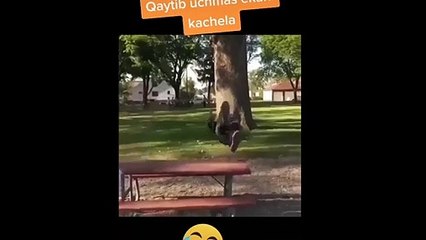 Cười sảng khoái mỗi ngày với những tình huống hài hước #1