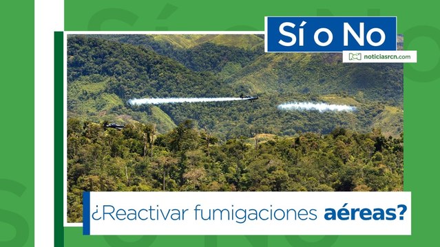 ¿Reactivar las fumigaciones aéreas es una medida efectiva para combatir las estructuras criminales dedicadas al narcotráfico?
