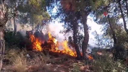Milas'ta aynı noktayı aynı gün 6 kez yaktılar