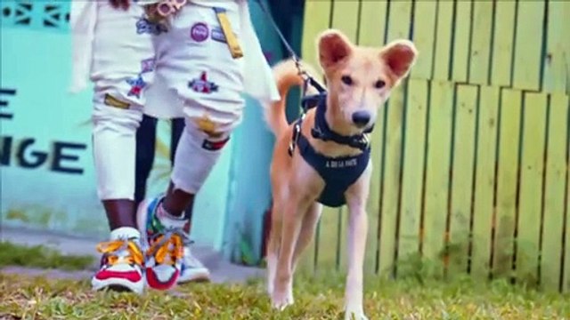 Shaoleen- Buzzilité feat Ariel Sheney ( Clip Officiel 2020)