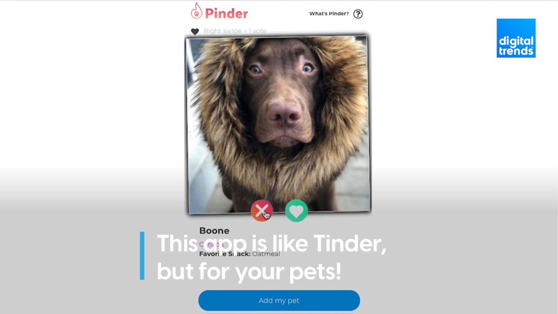 Pinder: Tinder for Pets! - video Dailymotion