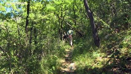 Milliárdos kiesést jelent a külföldi vadászok távolmaradása