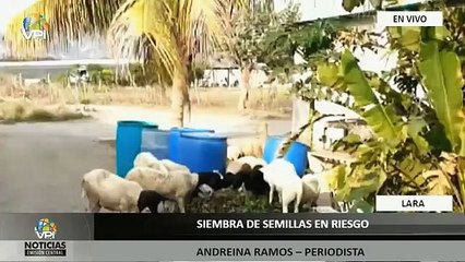EN VIVO - Noticias VPItv Emision Central - Jueves 17 de Septiembre