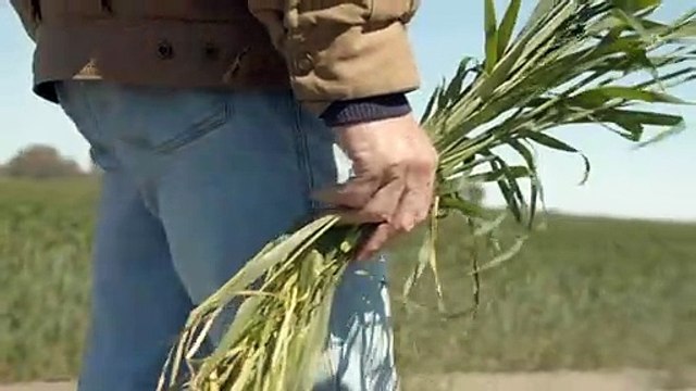 Report details deadly impact of non-melanoma skin cancer