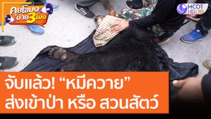 จับแล้ว! “หมีควาย” พิจารณาส่งเข้าป่า หรือสวนสัตว์ [17 ก.ย.6]  คุยโขมงบ่าย 3 โมง | 9 MCOT HD