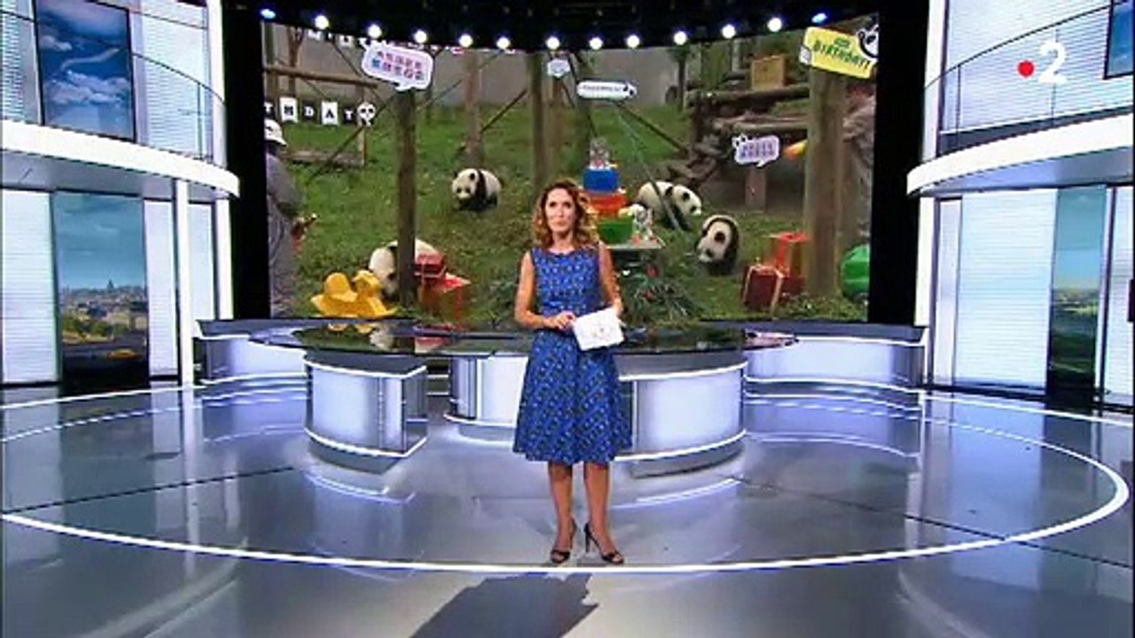 Regardez le dernier journal de 13h sur France 2 de Marie-Sophie Lacarrau avant son arrivée sur TF1 pour remplacer Jean-Pierre Pernaut