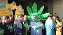 Thailand's Cannabis Revolution | 101 East