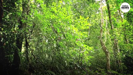 3 ศูนย์เรียนรู้ธรรมชาติ ปตท. รับมอบตราสัญลักษณ์ SHA I Springnews