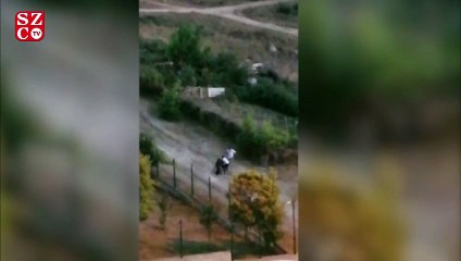 Köpeklere yiyecek getiren kadını böyle dövdüler!