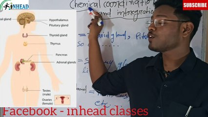 Endocrine System part - 1 | class 11 | NEET | INHEAD | Akshya kushwaha