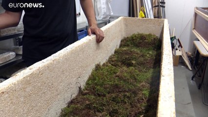 شاهد: نعش من الفطريات يسمح بتحويل الجسم بعد الموت إلى سماد ويساهم في حماية البيئة