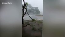 Strong winds and heavy rain as Typhoon Noul slams into central Vietnam