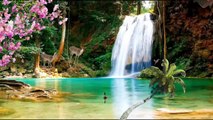 Relaxing Waterfall Sounds for Sleep Fall Asleep & Stay Sleeping With Water white Noise 1 Hours