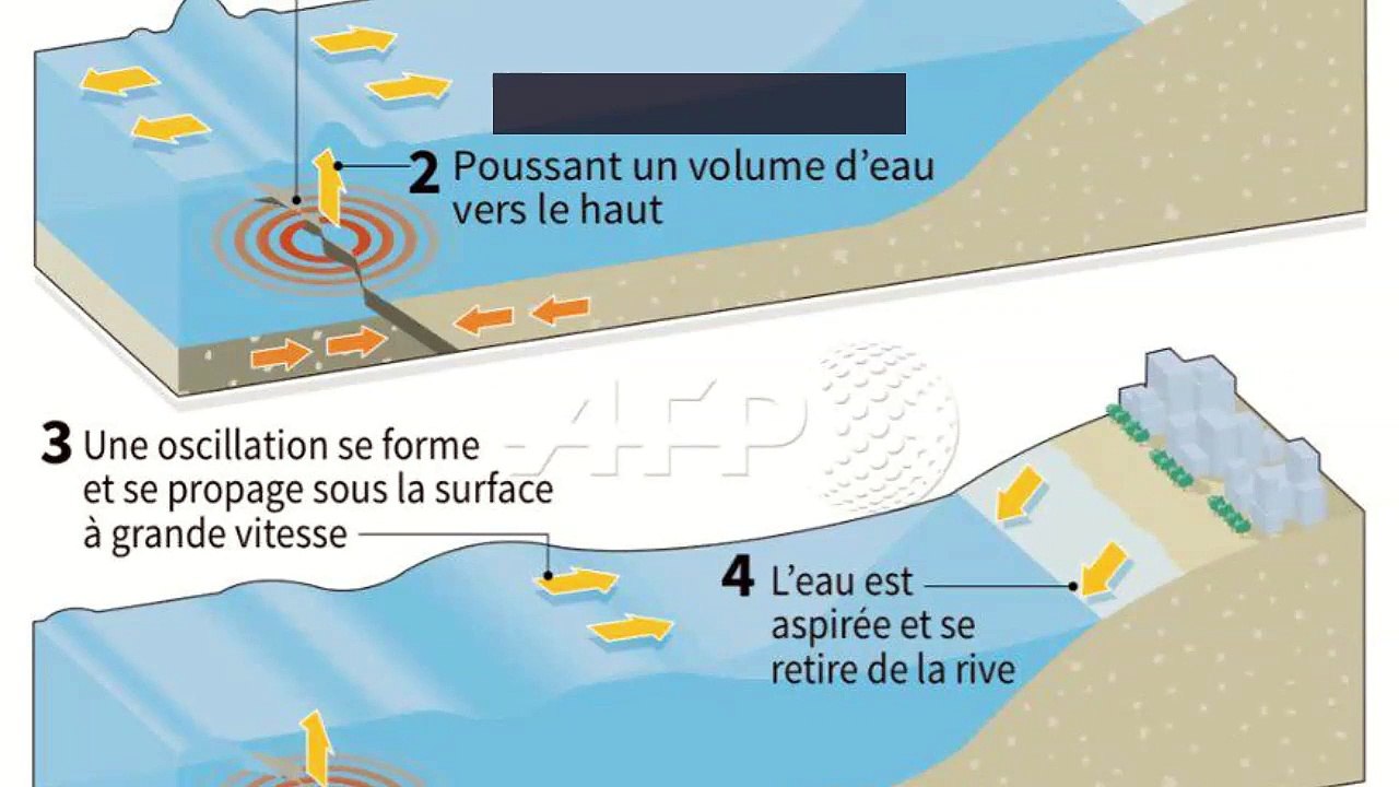 Pédagogie Environnement - Petite anatomie du tsunami_IN