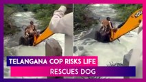 Telangana Cop Risks Life, Rescues Dog Stuck In Bushes After Heavy Rains; Netizens Praise The Brave Official As The Video Goes Viral