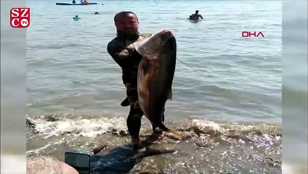 Tatil için gittiği Fethiye'de zıpkınla 35 kilo, 165 santimetre boyunda akya balığı yakaladı