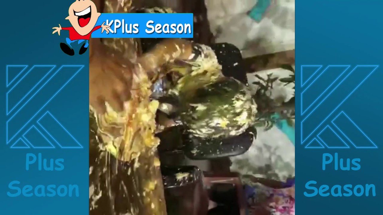 Funny BIRTHDAY MOMENTS & FAILS compilation