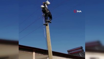 Elektrik direğinden mahsur kalan kedinin imdadına VEDAŞ ekibi yetişti