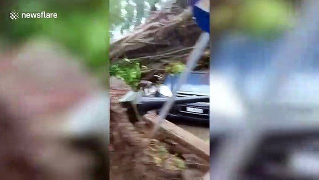 Malaysia storm uproots trees and topples billboards amid extensive damage
