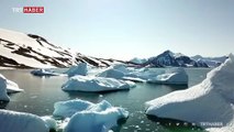 'Gezegenin Karakutusu: Antarktika' TRT ekranlarında olacak