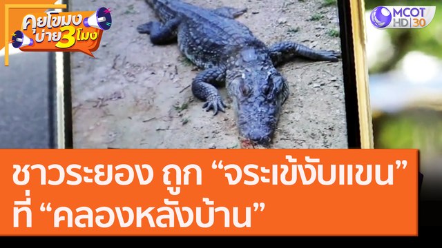 ชาวระยอง ถูก “จระเข้งับแขน”ที่ “คลองหลังบ้าน” [18 ก.ย.63] คุยโขมงบ่าย 3 โมง | 9 MCOT HD