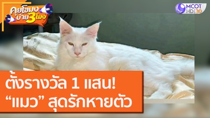 ตั้งรางวัล 1 แสน!“แมว” สุดรักหายตัว [18 ก.ย.63] คุยโขมงบ่าย 3 โมง | 9 MCOT HD
