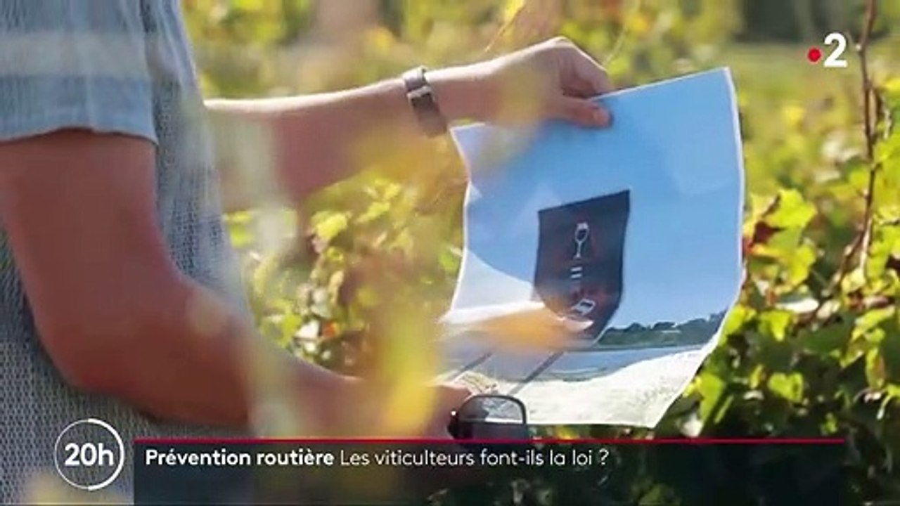 Prévention routière : les vignerons de Loire-Atlantique demandent la suppression de panneaux alertant sur les dangers du vin au volant