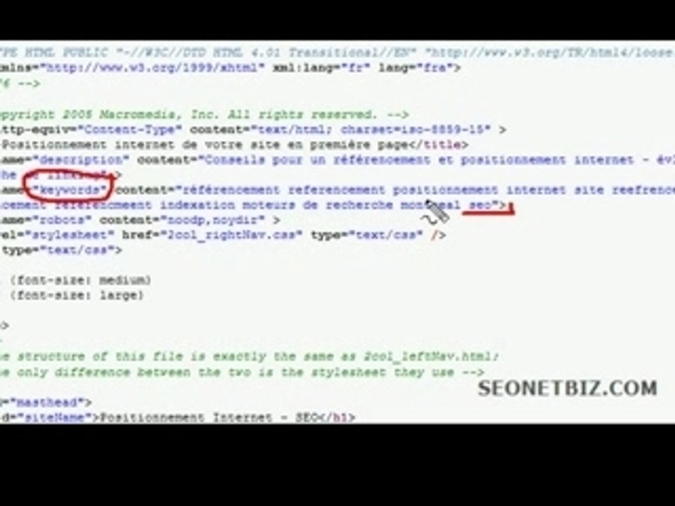 referencement et positionnement internet - balise keywords