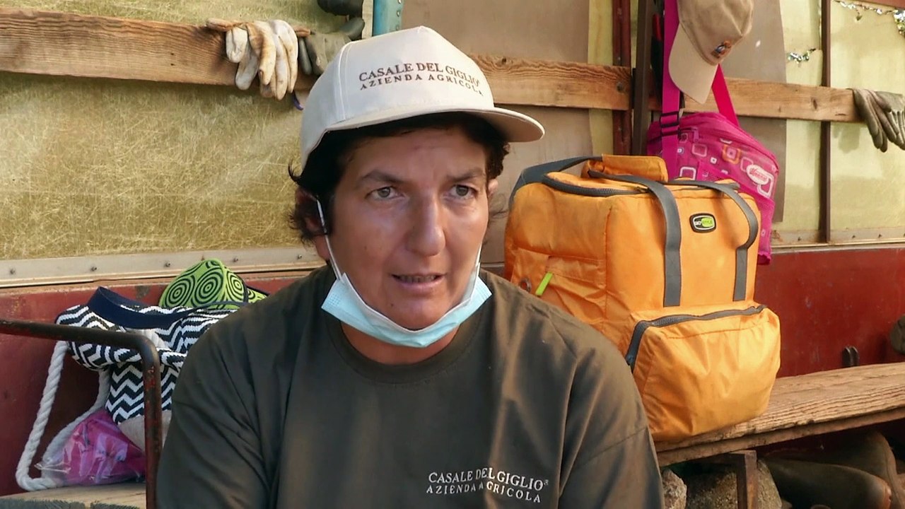 Pralle Reben, leere Gläser: Italiens Weinexporte straucheln